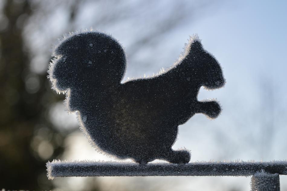 stuffed fluffy squirrel