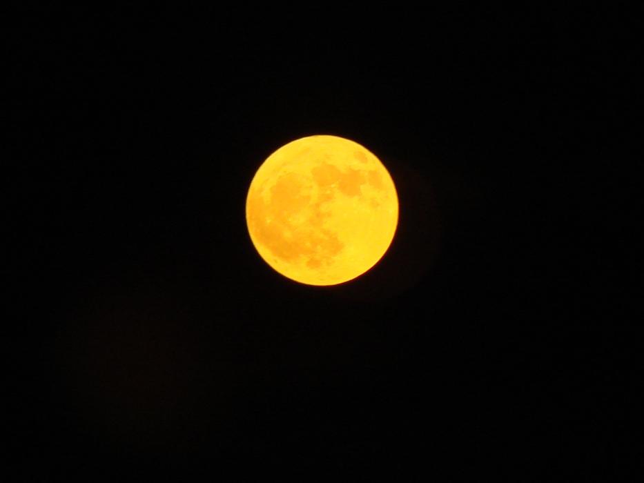 bright yellow moon in a black sky