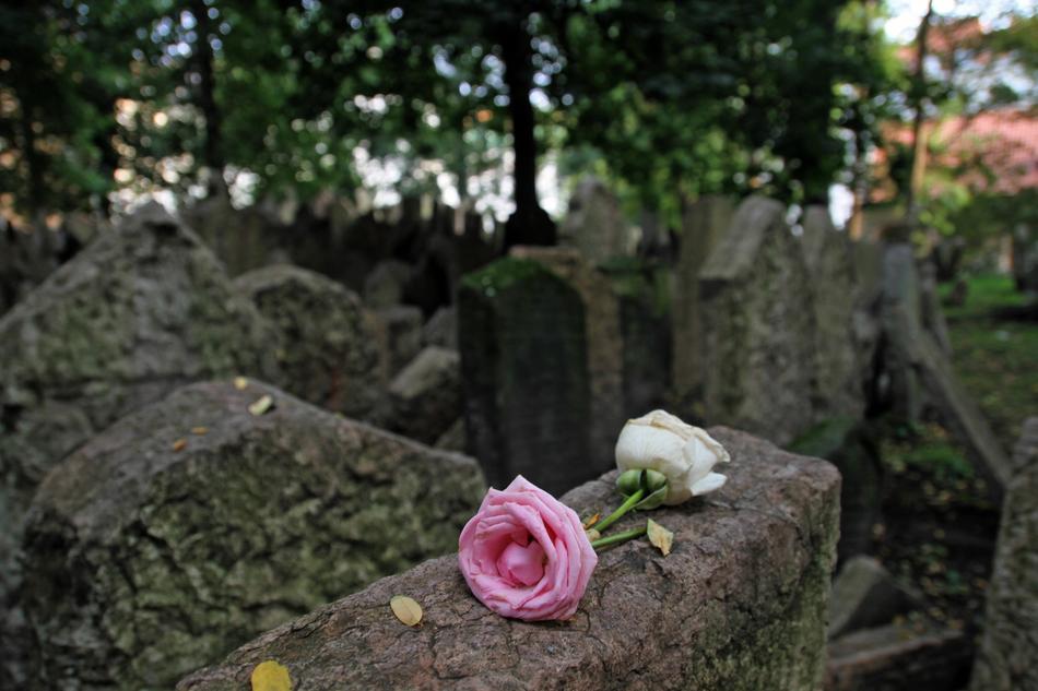 Cemetery Jewish Flower