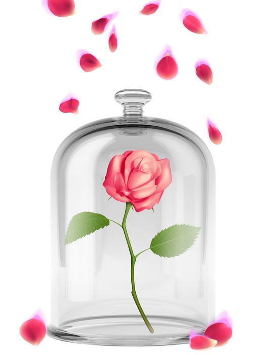 rose petal flower in glass