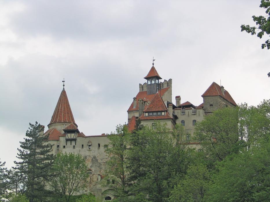 beautiful castle behind the trees
