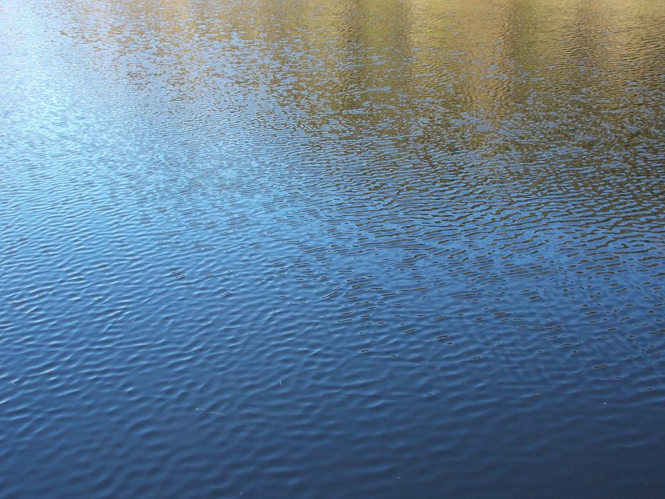 flowing water in the forest