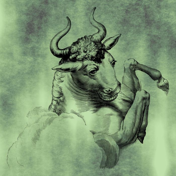 bull wildlife drawing