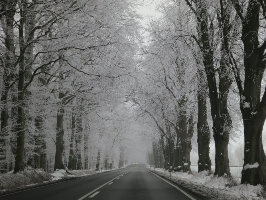 Winter Avenue Snow