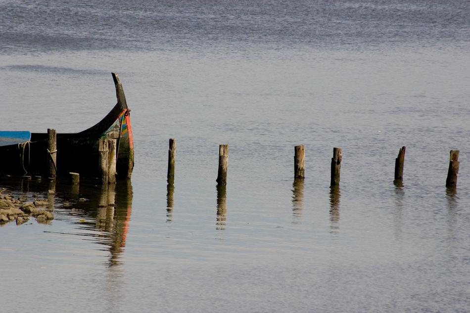 wooden poles in a cold sea