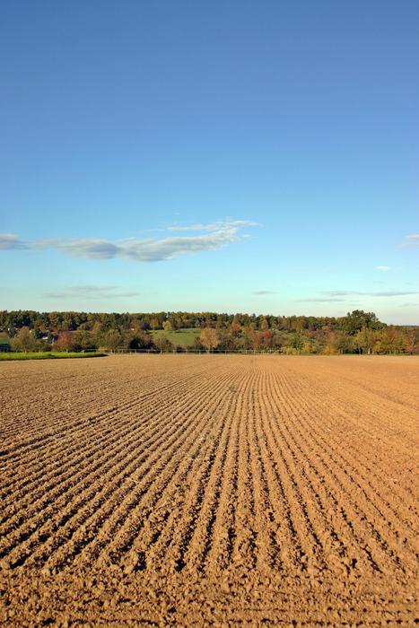 Arable Ackerfurchen Ridge