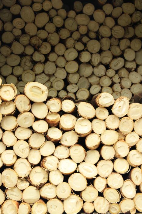 wooden bamboo shoots