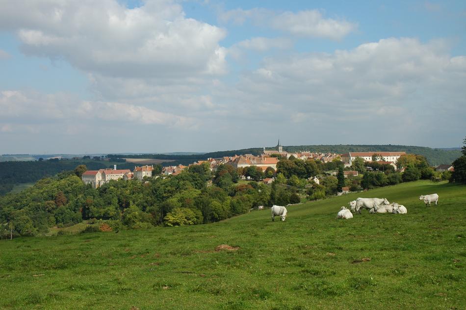 green meadow near the village