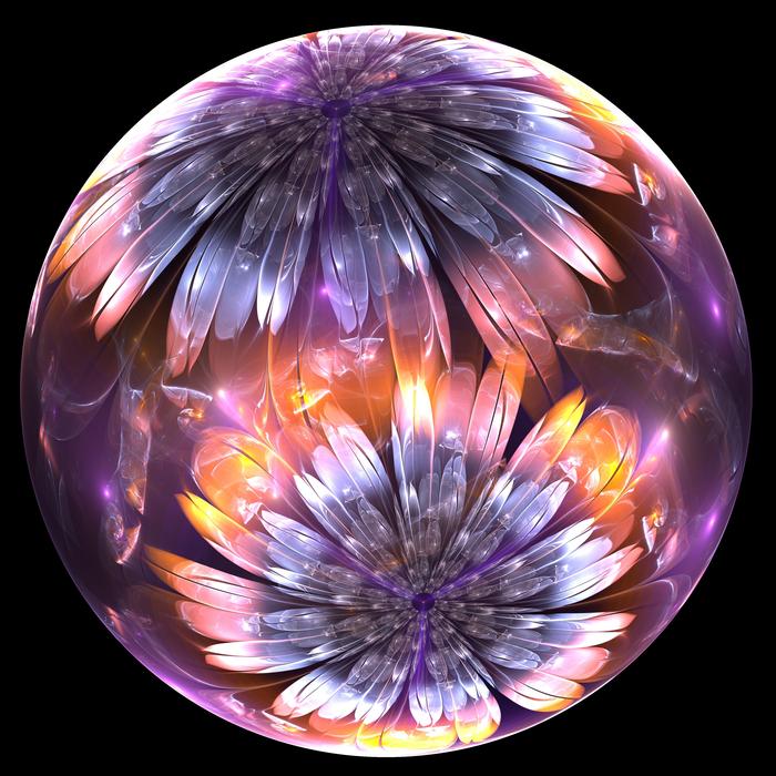 fractal floral flowers