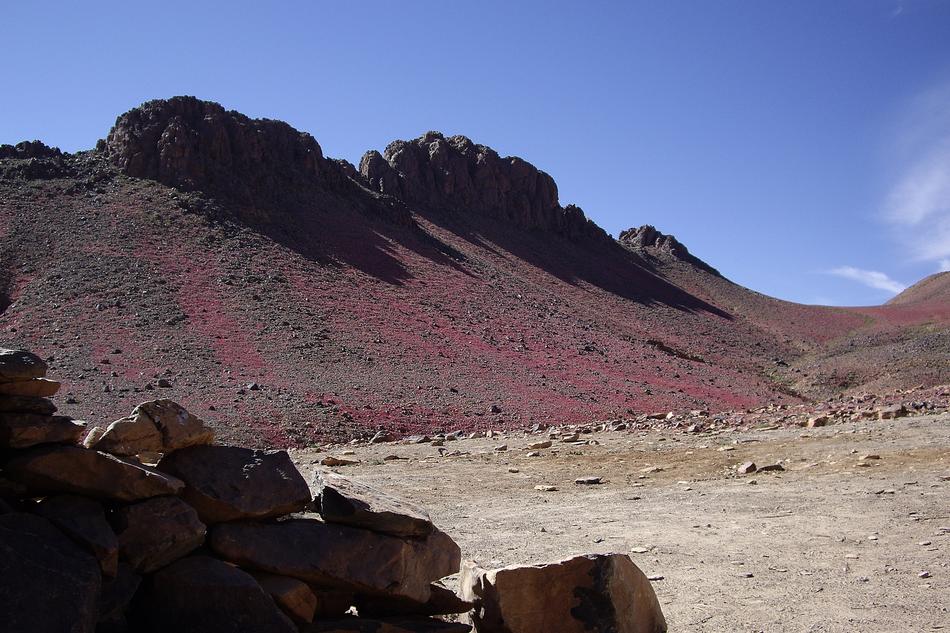 beautiful rocks in the desert