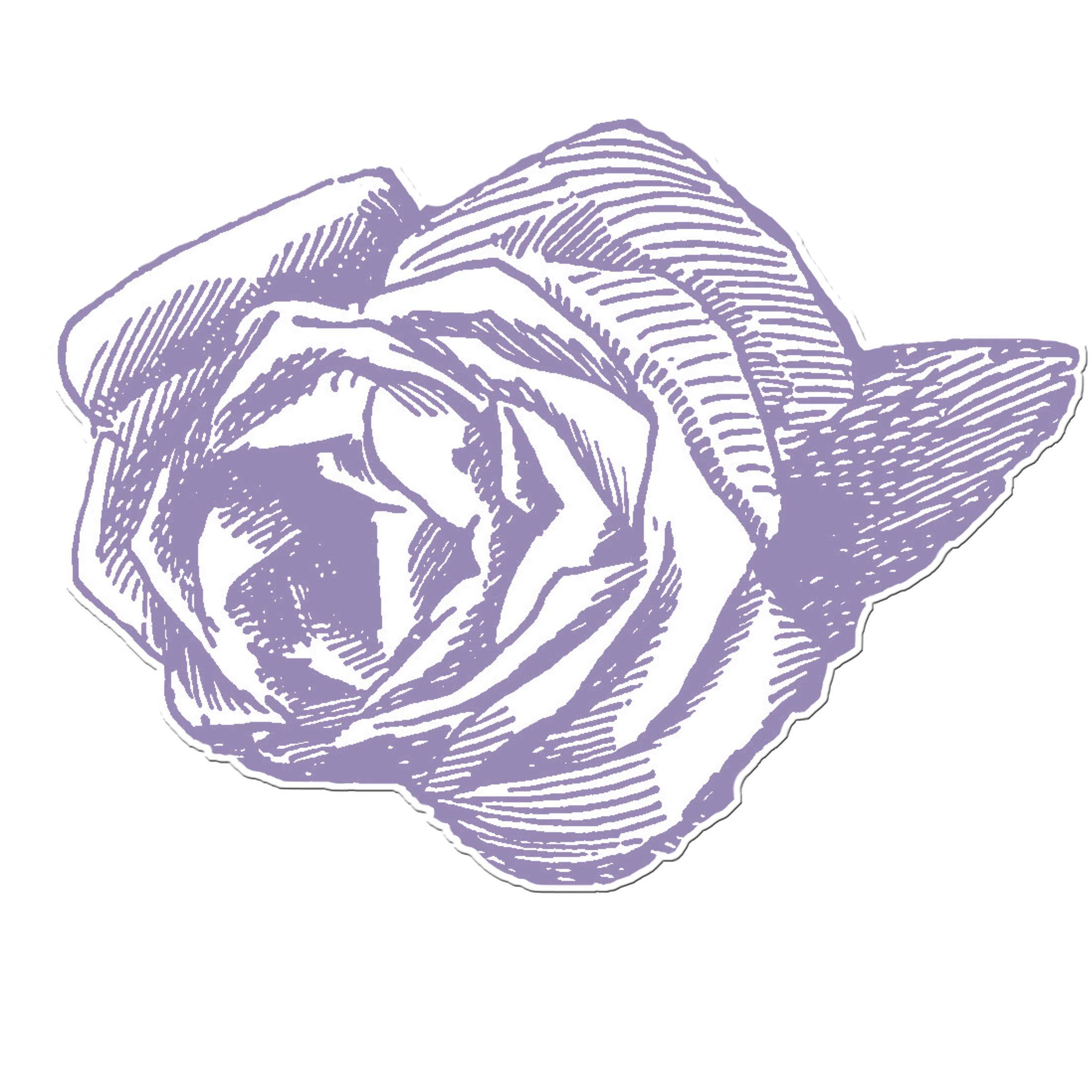 Scrapbooking rose elements flowers free image download