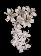white flowers on a black background is beautiful