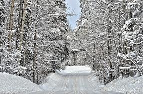 Wintry Rural Road