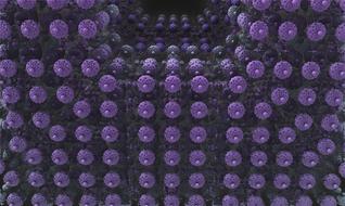 purple circles on a geometric figure
