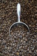 delicious roasted grains