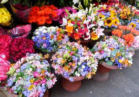Flowers Market