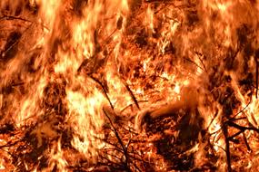 Easter Fire Flame
