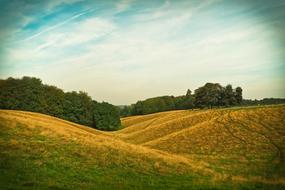 Landscape Nature Meadow