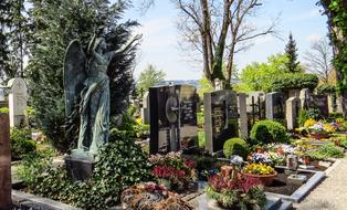 beautiful cemetery with flowers