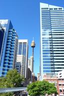 Australia View Eye