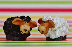 Black Sheep Funny