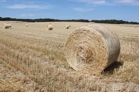 straw bale in a dry field