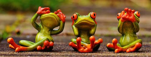 Cute colored frogs