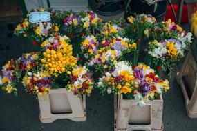 sale of flowers in a store
