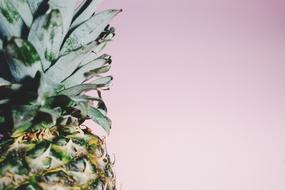 pineapple on a pink background