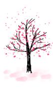 blossom tree spring flower bloom