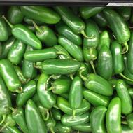 Healthy green vegetables