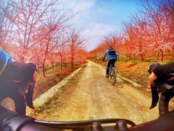 Bike ride in the park