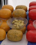 healthy tasty cheese