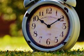 alarm clock on the grass in the sunlight