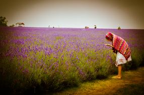 Woman Flowers Field