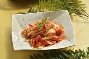 Food Dish Plate