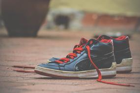 Shoes Shoelaces Red