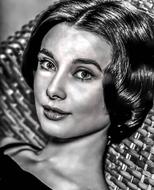 Audrey Hepburn-Hollywood Film