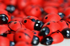ladybugs in a basket