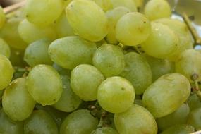 sweet juicy grapes