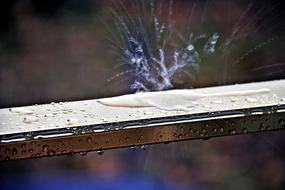 splash water on the fence