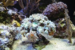 Underwater World Water