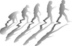 Human evolution on a white background