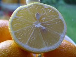 sour yellow lemon