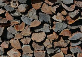wooden splinters