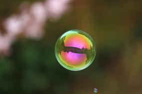 Soap Bubble Ball Float Soapy