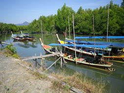 fishing boats by the beach on the river