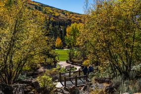 Vail Colorado Betty Ford Park