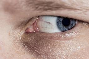 Eye Macro Closeup