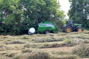 green tractor in a wheat field